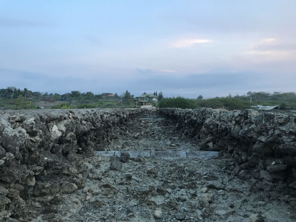 クラブアイランド2