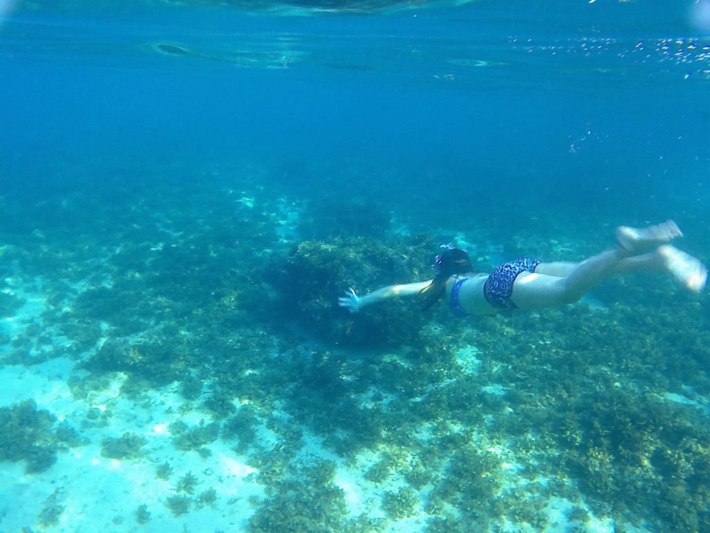 マリゴンドン2