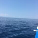 トリコンチネントディグリープログラムへの決断について