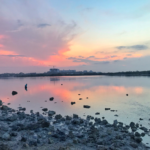 休日はどのように過ごしているのか？