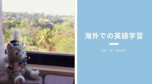 海外での英語学習