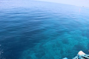 セブ島でのハレの日04