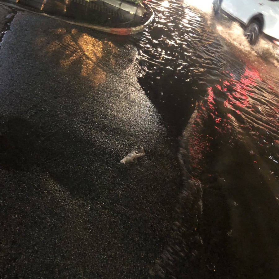 タイでの豪雨の様子