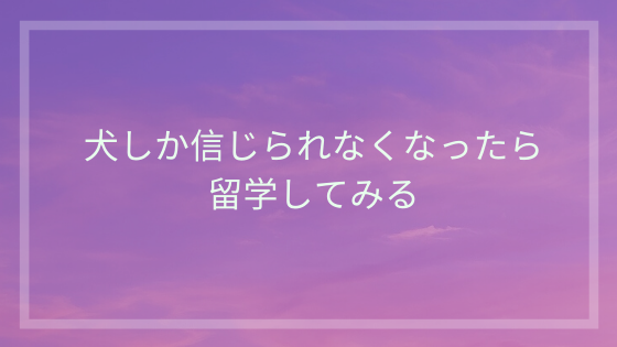 犬しか信じられなくなったら留学してみる