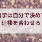 留学は自分で決めて辻褄を合わせろ