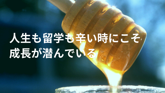 人生も留学も辛い時にこそ成長が潜んでいる