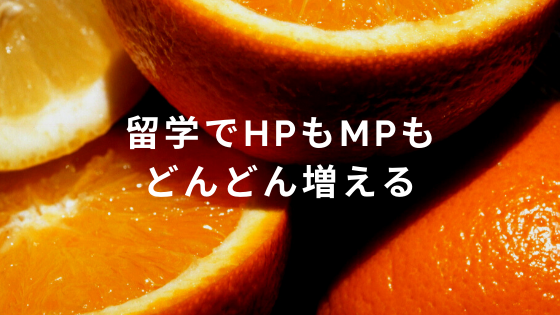 留学でHPもMPもどんどん増える