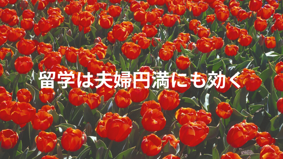 留学は夫婦円満にも効く