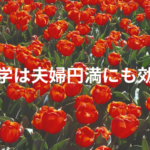 留学は夫婦円満にも効く