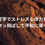 留学でストレスも体力も吹っ飛ばして平和に導く